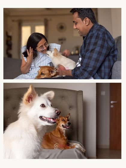 More moments from Coco and Snowy's shoot, showing the playful interactions and quiet cuddles that make a two-dog household so special.