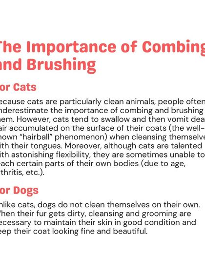 Woofly - At-Home Pet Grooming My Guide to a Healthy Pet photo 10