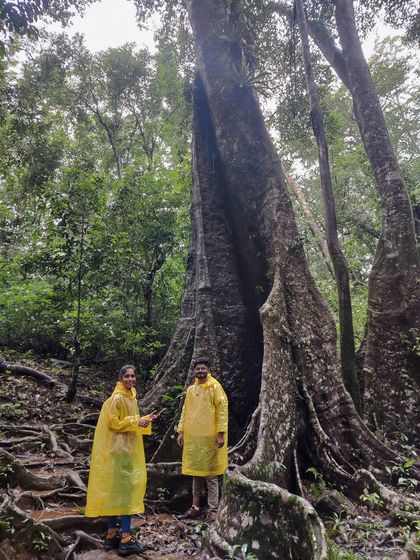 A couple in matching yellow ponchos posing in the beautiful Kodachadri forest.