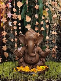 Community & Cultural Events