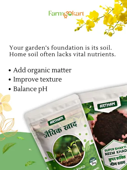 The foundation of your garden is its soil. I offer natural solutions like Jaivik Khad and Super Shakti Neem Khad to add organic matter, improve texture, and balance the pH for happy plants.