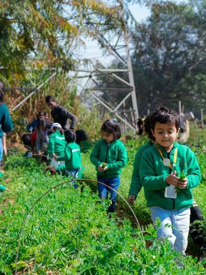 Farmus - Farm Day Out Experience Our Little Farmers: School & Group Trips photo 11