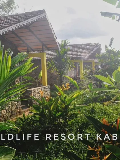 The lush, green surroundings of the Wildlife Resort in Kabini, showcasing the beautiful cottages nestled among tropical plants.