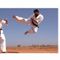 Kyokushin Karate