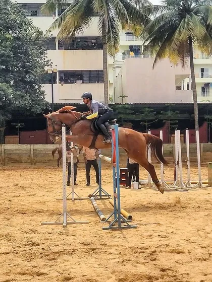 Rider and horse Vedette flying over a jump. This action shot captures the excitement and skill involved in show jumping, one of the key disciplines we specialize in at our center.