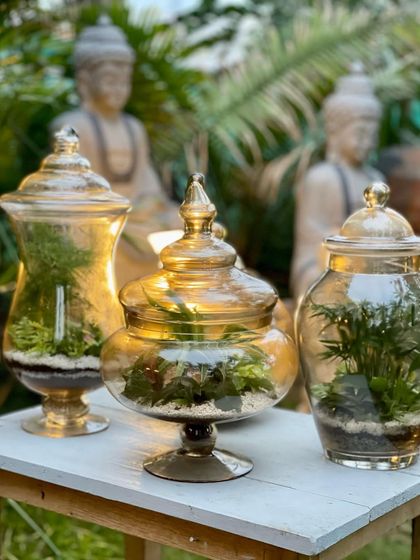 Greenhouse - Living Botanical Art & Arrangements Miniature Living Worlds photo 4