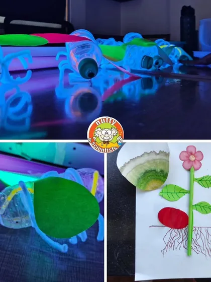 From learning about plant biology to creating glowing insects from recycled bottles, our Garden of Light camp combines nature, art, and the science of light.