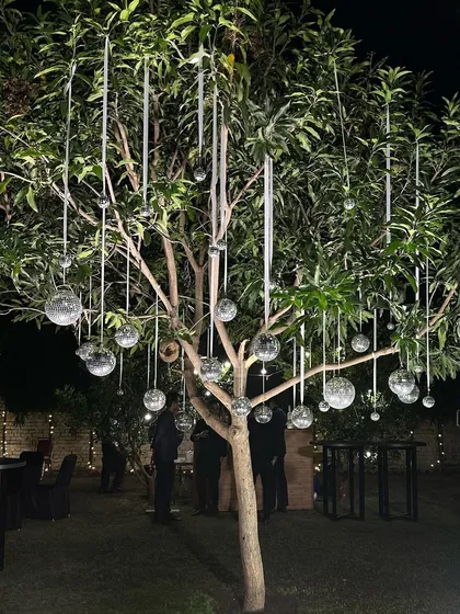 Outdoor spaces have so much potential for magical decorations. For this evening event, we decorated the trees with delicate hanging glass orbs and ribbons, creating an enchanting, starlit effect that transformed the entire garden.