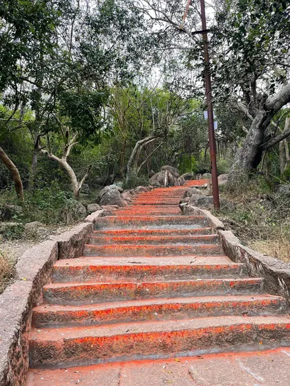 The steps leading up to a temple in India. The path of yoga is a journey, step by step, toward greater understanding.