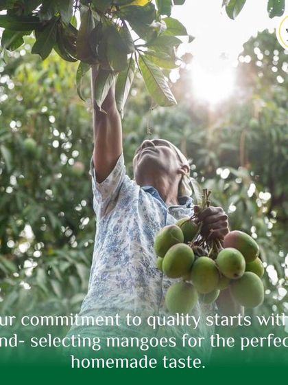 Our commitment to quality begins with hand-selecting the freshest raw mangoes. This is the first and most important step in creating that perfect homemade taste.