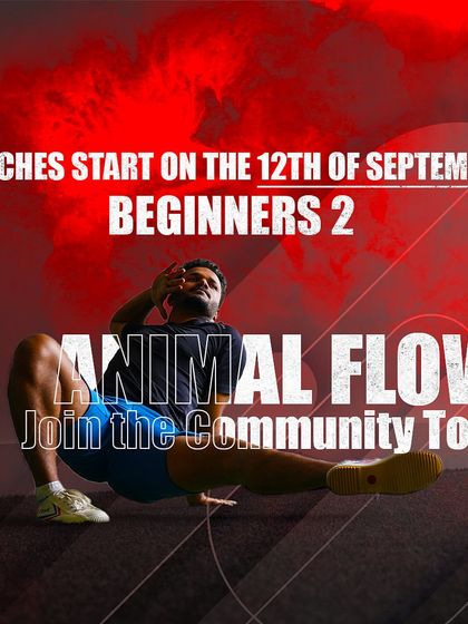 Academy of Strength - Skill-Based Fitness Workshops Master Your Movement: Animal Flow photo 55