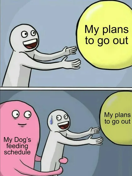 My plans to go out are always held back by my dog's strict feeding schedule. The struggle is real for every pet parent.