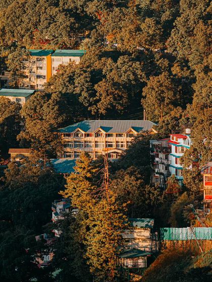 A view of houses nestled amongst the dense forests of Shimla, captured with a telephoto lens.