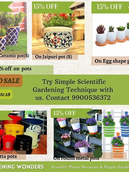 Greening Wonders - Garden Center & Plant Nursery Special Offers & Announcements photo 6