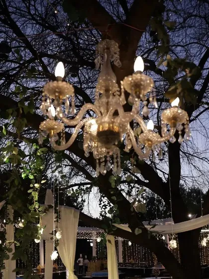 Lighting is key to creating evening magic. Here, we've hung a classic crystal chandelier from the branches of a large tree, surrounded by cascading fairy lights, to cast a warm, romantic glow over an outdoor reception.