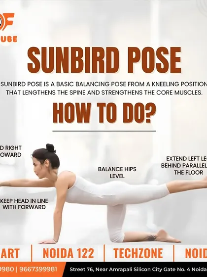An instructional guide on how to perform the Sunbird Pose. This graphic breaks down the posture, explaining how it lengthens the spine and strengthens core muscles for better balance and stability.
