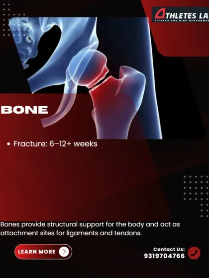 Bone fractures typically require 6-12+ weeks to heal, providing the structural support for the body to rebuild. Proper loading during rehab is key to ensuring a full recovery.