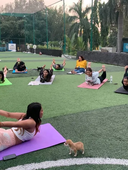 An outdoor puppy yoga session in Chandigarh at sunset. Participants stretch on their mats while a tiny puppy explores the turf, creating a perfect, serene atmosphere for a good cause.