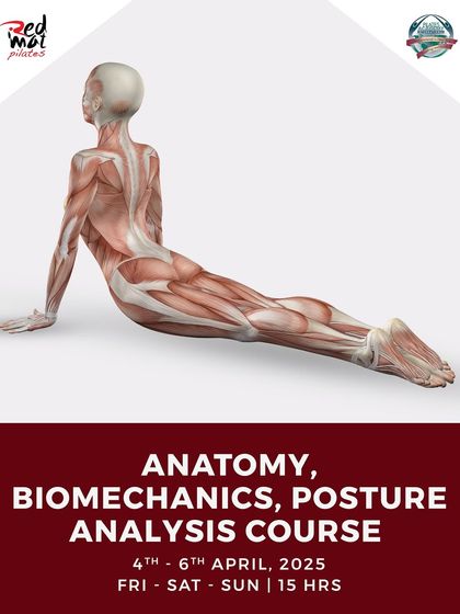 The Foundation: Anatomy & Biomechanics photo 3