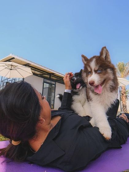 The Pawsome Camp - Dog Party & Event Hosting Special Events & Workshops photo 17