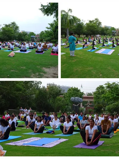 More scenes from our community yoga practice in the park. Practicing together in nature adds a special dimension of peace and connection to the experience.