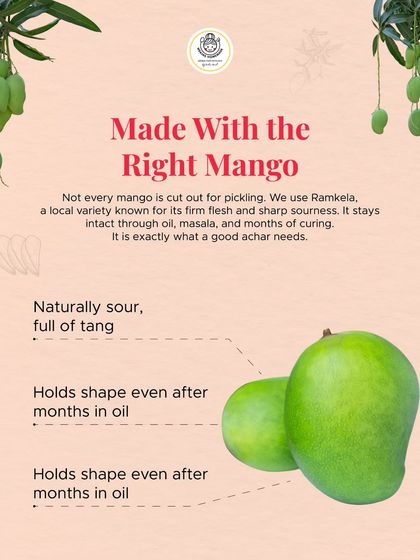 The secret to a great mango pickle is using the right mango. We use the Ramkela variety, which is known for its firm flesh and sharp sourness that holds up perfectly during the pickling process.