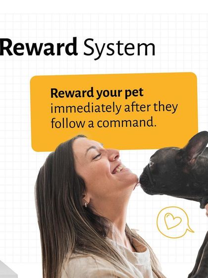 Pethowz - Pet Parent Education Positive Pet Training Guides photo 6