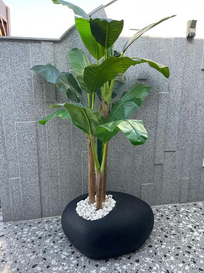 A bold statement piece for a modern patio. This large, sculptural black planter contains an artificial banana tree, providing a touch of green with zero maintenance.