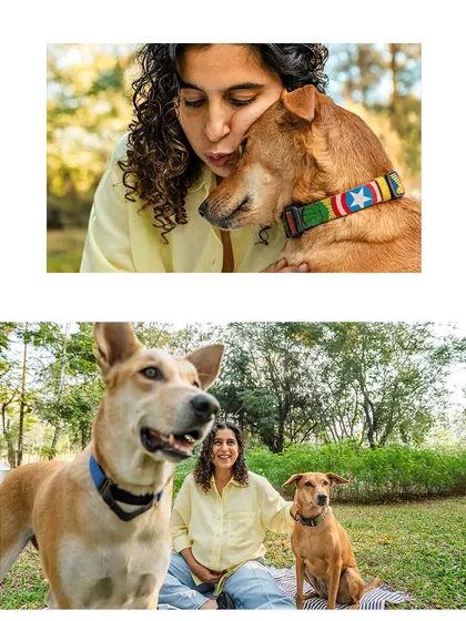 A beautiful outdoor maternity session featuring two happy Indie dogs. This collage captures both a relaxed family portrait and a shot of the dogs looking on, perfectly content in the park.