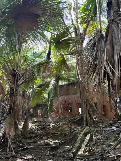 Another view of the ruins on Ross Island, where the jungle is slowly reclaiming the land.