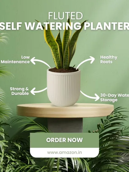 Meet our Fluted Self-Watering Planter, where elegant design meets smart technology. It stores water for up to 30 days, ensuring healthy roots and low maintenance, all while looking great in any setting.