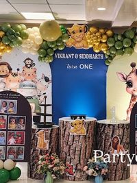 Themed Birthday Party Decoration
