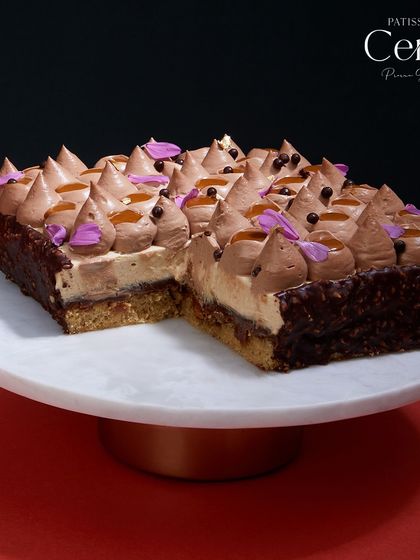 A detailed breakdown of my Go Nuts For Hazelnuts entremet. It starts with a soft hazelnut sponge, followed by a hazelnut crunch, praline caramel, hazelnut mascarpone mousse, and finally, a rich dark chocolate ganache. It is a true celebration of the hazelnut.