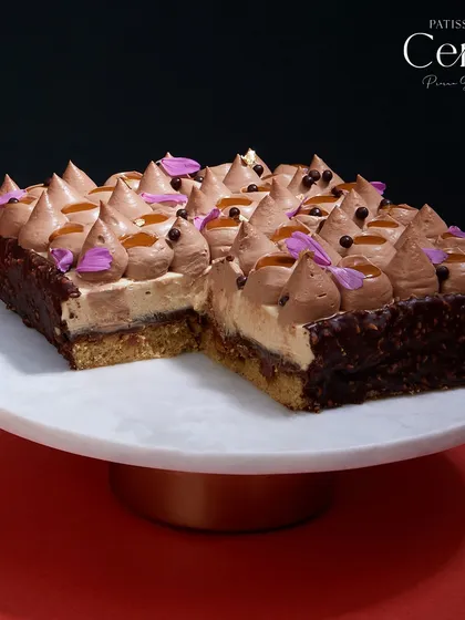 A breakdown of the "Go Nuts for Hazelnuts." It features a soft hazelnut sponge, a layer for crunch, praline caramel, creamy mascarpone mousse, and a dark chocolate ganache.
