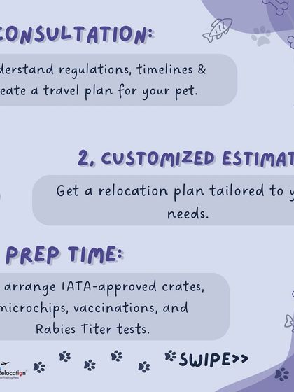 Anvis - Pet Relocation Our Relocation Process: Step-by-Step photo 3