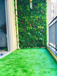 Artificial Grass & Turf Installation