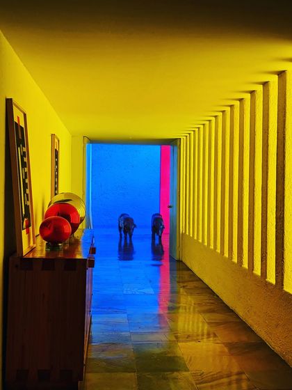 Office of Cognitive Design - Residential Architecture & Interior Design Our Philosophy & Inspirations photo 12