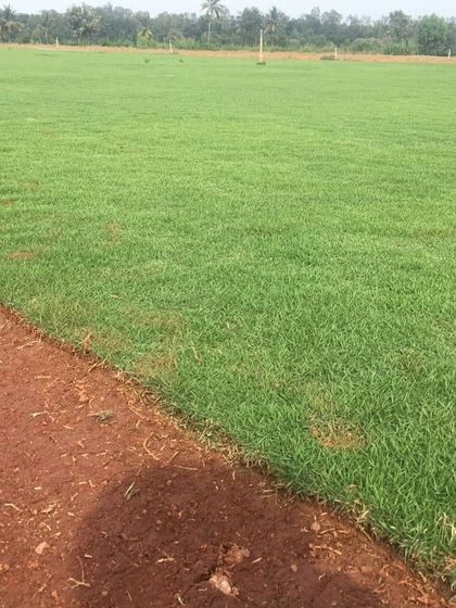 Rakshith Landscaping - Landscape Design & Installation Lush Lawns: Natural & Artificial photo 32