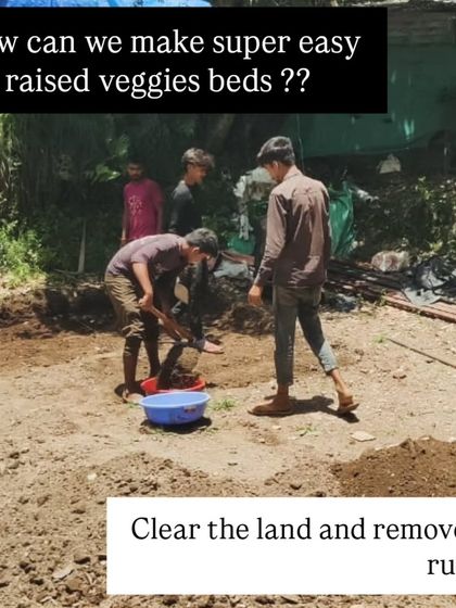 The process of creating raised beds begins with clearing the land and removing any rubble to prepare a clean slate for the garden.