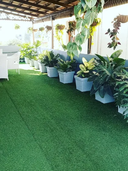 This rooftop patio uses artificial grass to create a soft, green surface. It's lined with large planters filled with tropical plants, turning the space into a lush garden.