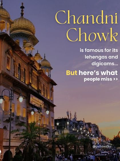 Vanishing Havelis of Old Delhi photo 15