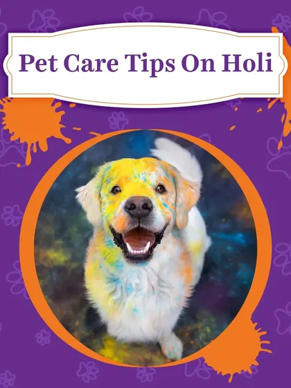 Pet care tips for a safe Holi. This graphic explains how to protect your pets from harmful colors and ensure they have a happy and stress-free festival.