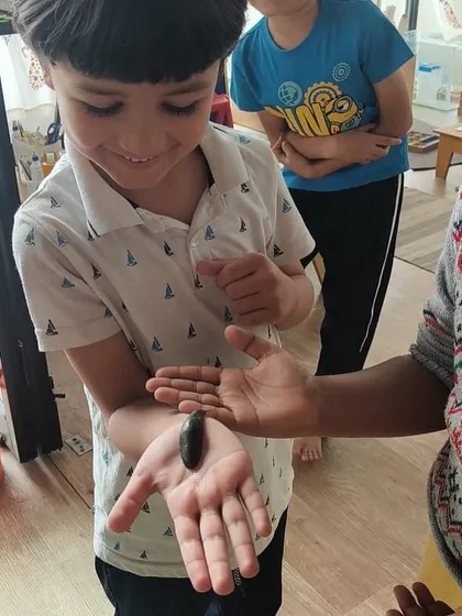 The look of pure wonder on a child's face as he examines an insect is what my program is all about. I foster this innate curiosity, turning it into a scientific exploration and a lifelong love for learning about the natural world.