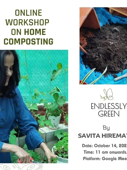 An announcement for one of my online workshops. These sessions are designed to be informative and interactive, helping you compost with confidence.