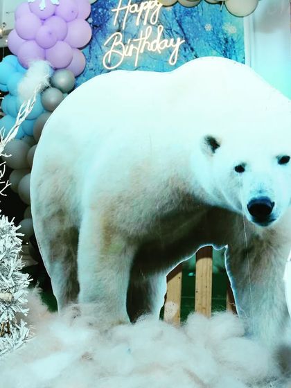 Event Destiny - Birthday Party Decoration Enchanting Fairy Tale & Princess Themes photo 16