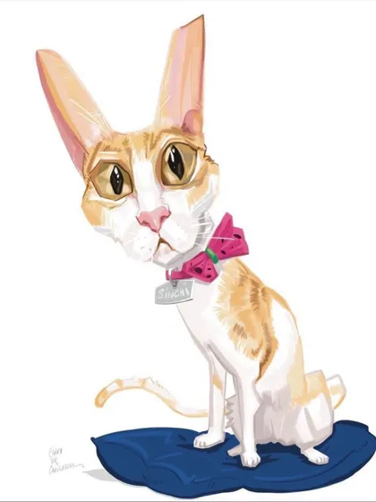 A sweet and simple pet portrait of a very cute cat named Sticks. I work to capture the unique personality and features of beloved pets, making for a perfect memorial or birthday gift for any animal lover.