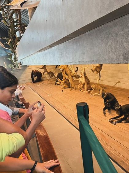 A day of learning at the Shanghai Natural History Museum. Our players exploring the exhibits and taking photos.