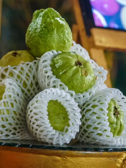 A pile of fresh, high-quality guavas, ready to be cut and served at our fruit station.