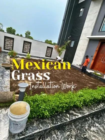 This image shows the installation of Mexican grass at a modern home. I prepare the ground meticulously before laying the turf to ensure healthy growth and a long-lasting, beautiful lawn.