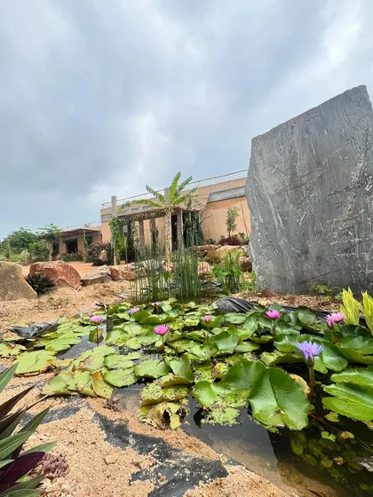 This is part of a community center we designed to merge with its natural surroundings. We used boulders found on-site for the walls and created a natural lily pond as a tranquil focal point, blurring the line between the building and the landscape.